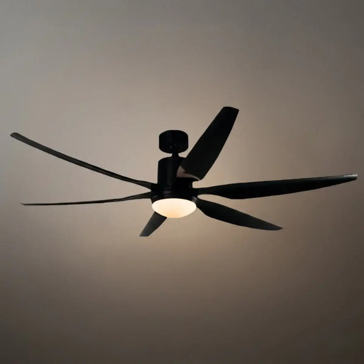 Morandia Modern Ceiling Fan Light